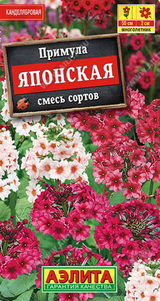 Candelabra Primula (Japanese Primrose) mix